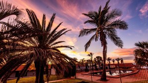 A fenced outdoor area with palm trees and a pool, likely part of a resort or hotel. - Hospitality Port Hedland (Port Hedland)