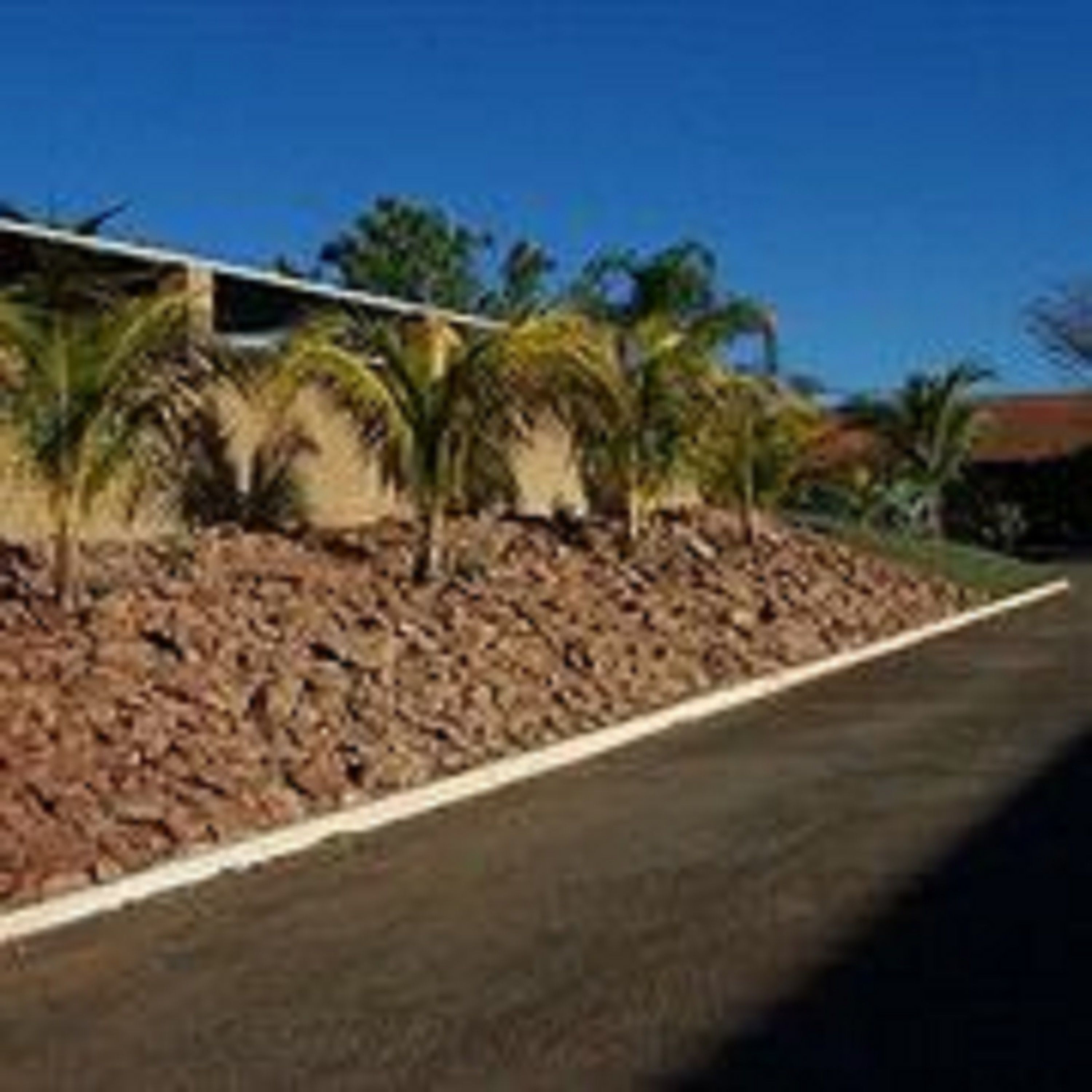 Una carretera pavimentada con un terraplén rocoso y palmeras.