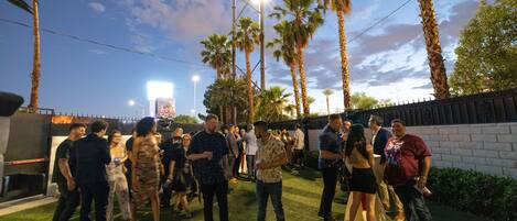 A group of people standing on artificial grass, surrounded by palm trees and a brick wall.