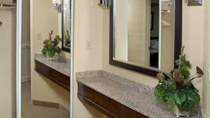 Une salle de bain avec un comptoir en granit, un miroir et une plante en pot.