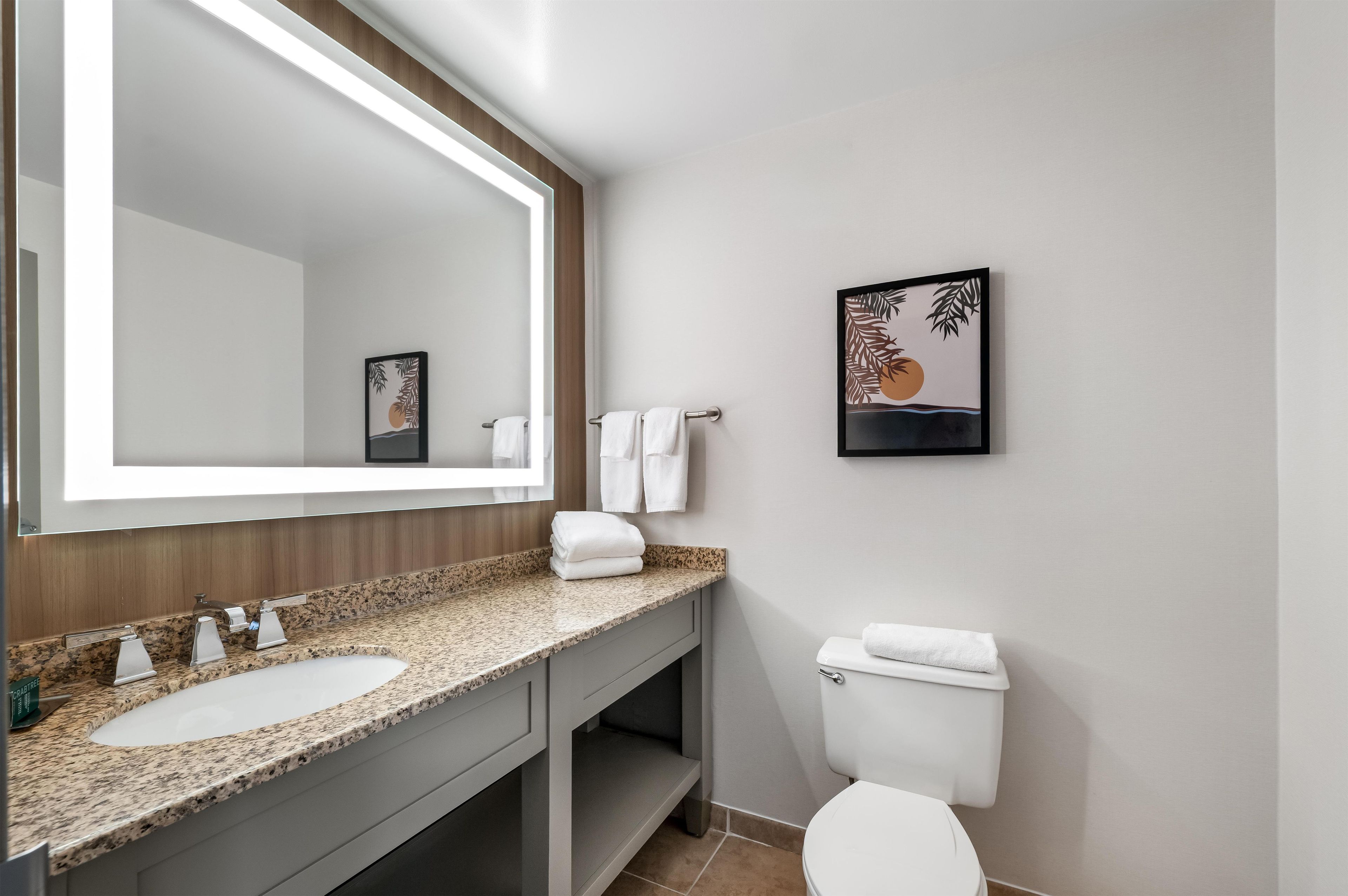 Un baño moderno con encimera de granito, un lavamanos blanco, un inodoro y un espejo grande.