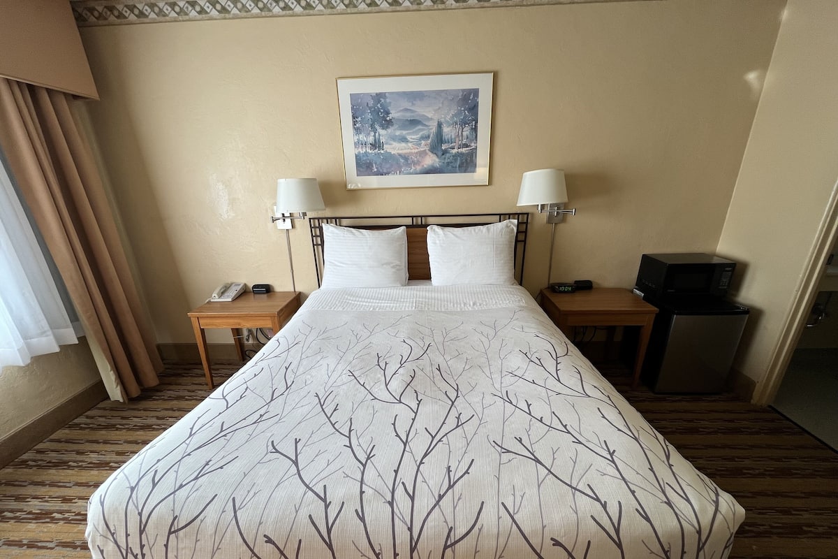 Quarto de hotel com uma cama grande, duas mesinhas de cabeceira, um criado-mudo, uma luminária na parede, um quadro e um micro-ondas.