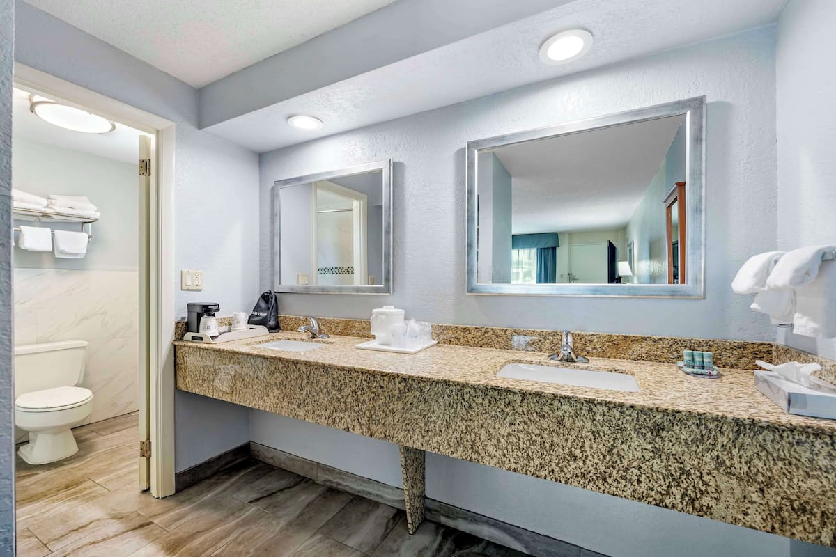 combined shower/bathtub, free toiletries, hair dryer, towels