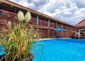 Seasonal outdoor pool, pool umbrellas, pool loungers