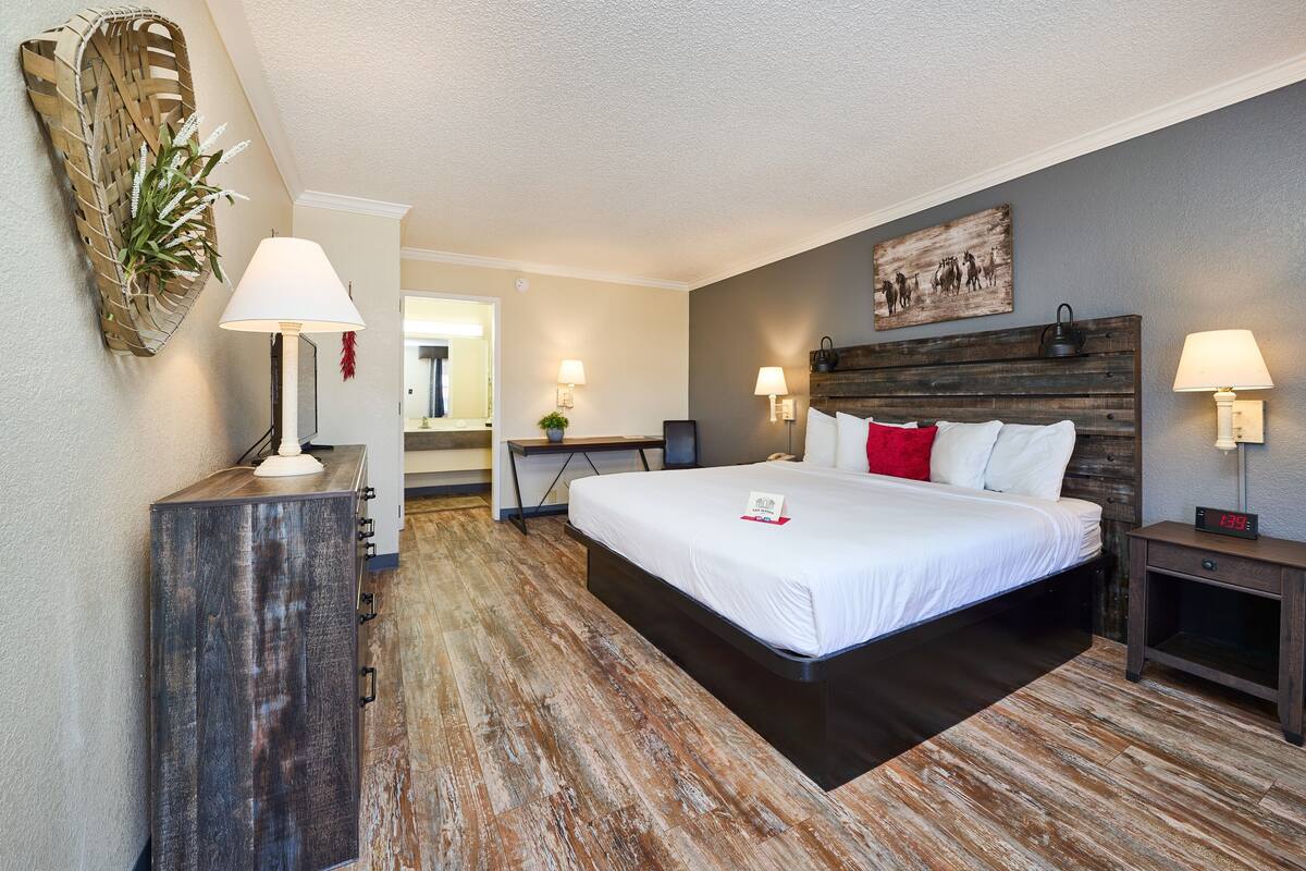 Standard Room, 1 King Bed | Desk, laptop workspace, blackout curtains, iron/ironing board
