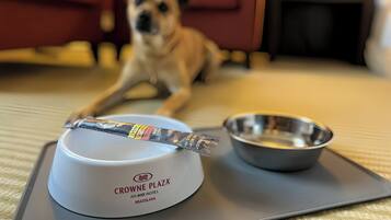 A dog lying on a tray with a bowl and a package of dog treats.