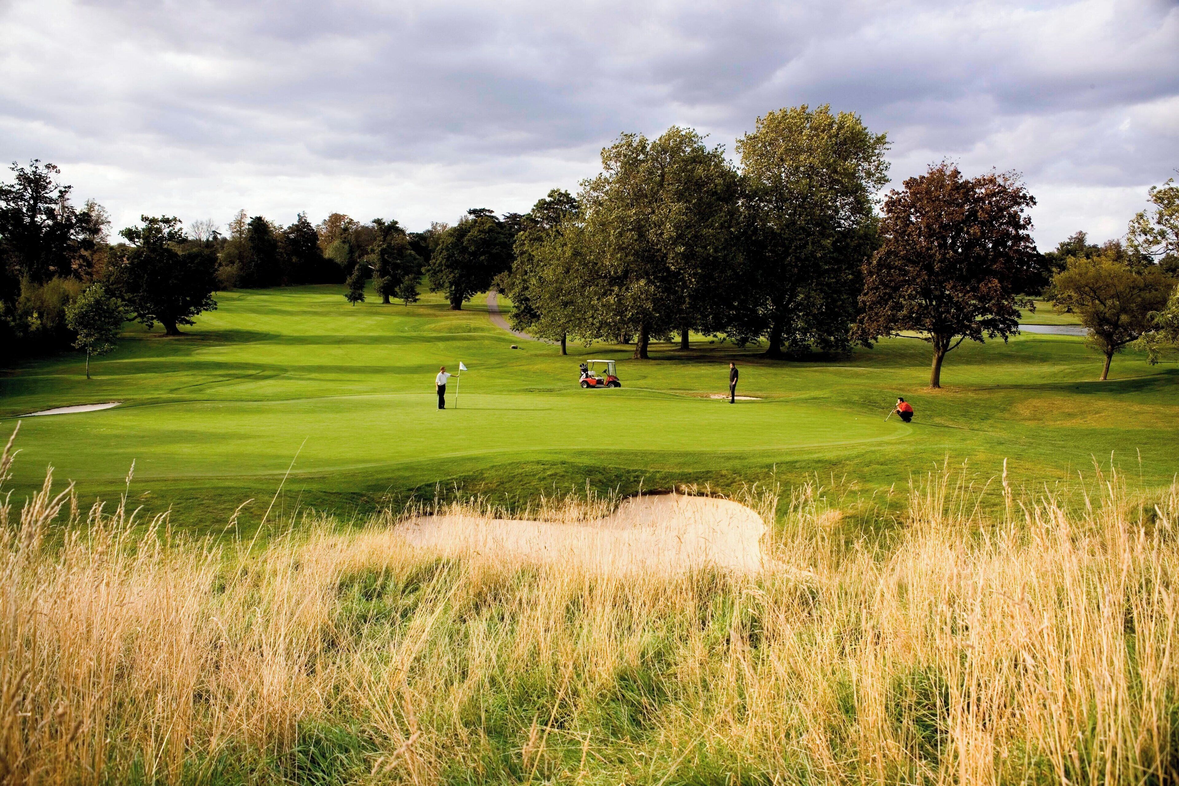 Un campo de golf con un putting green, búnkeres de arena y árboles.