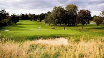 Un campo de golf con un putting green, búnkeres de arena y árboles.