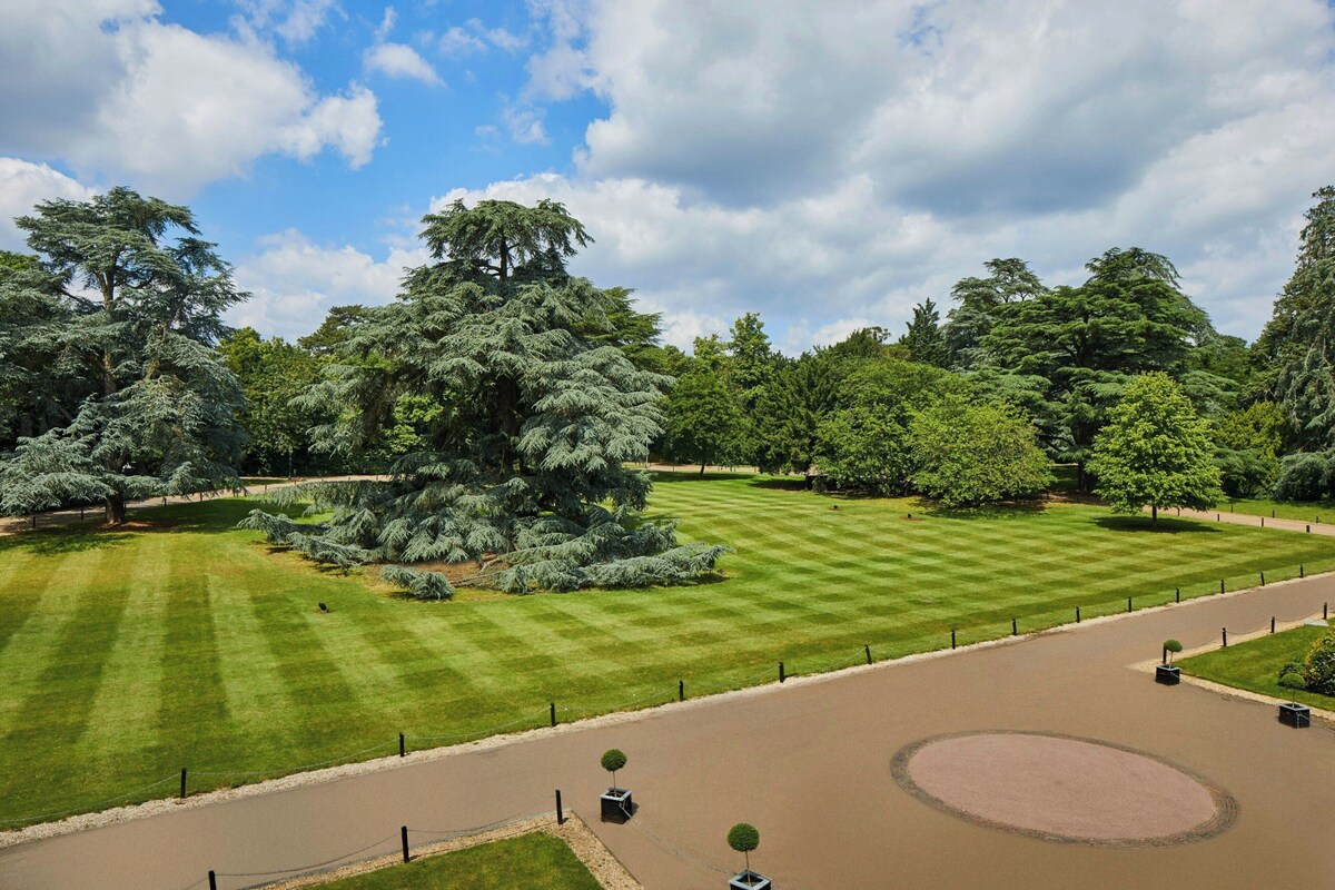 A park with a large lawn, a circular flower bed, and a paved path.