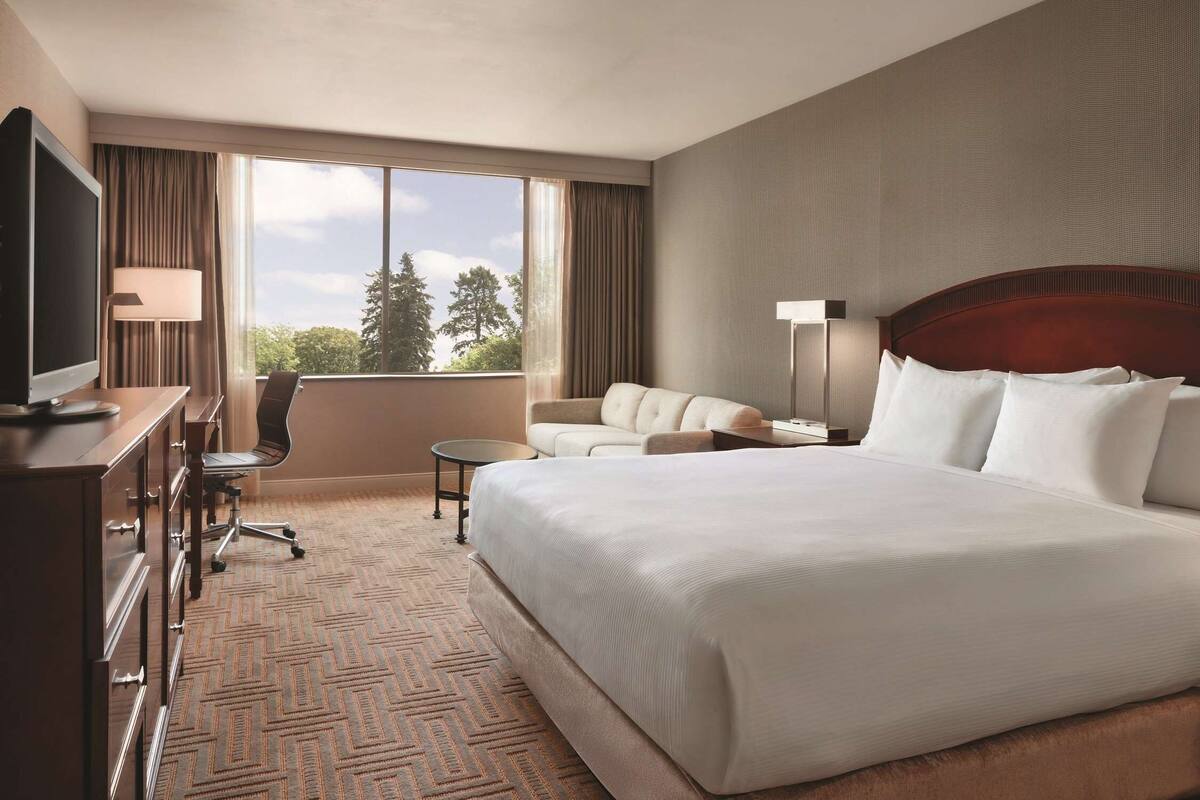 A hotel room with a large bed, a desk with a TV, a sofa, and a view of trees through the window.