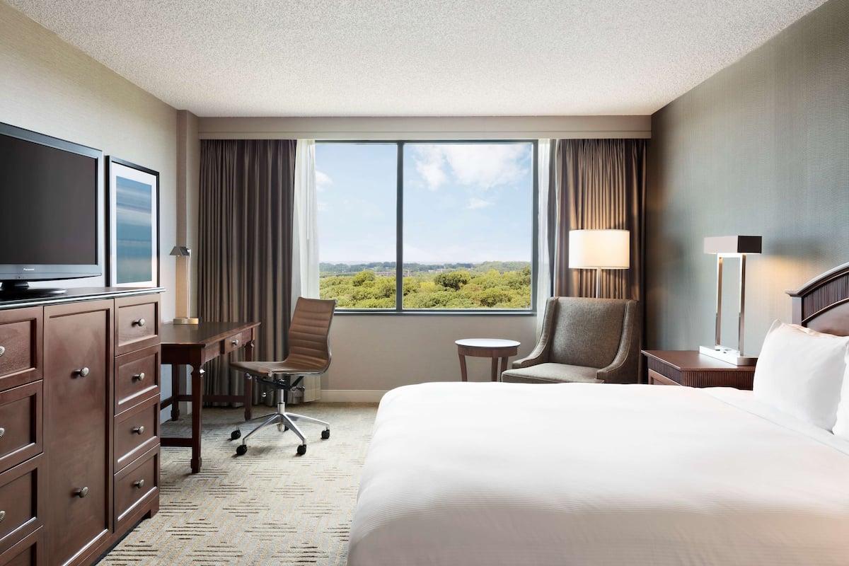 A hotel room with a bed, a desk, a chair, a television, and a window with a view of greenery.