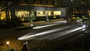 Un pasillo de hotel bien iluminado con diseño moderno, que presenta un camino limpio y recto y un área de jardín ajardinado.