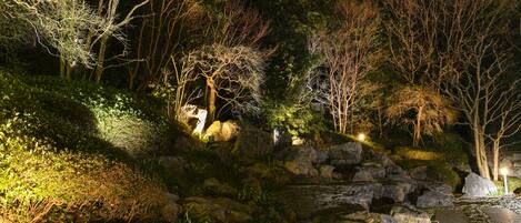 A nighttime garden with illuminated trees, a stone pathway, and a small water feature.