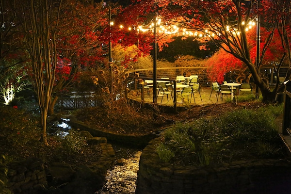 Property amenity