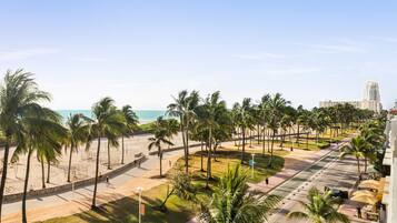 A beachfront promenade with palm trees, a beach, and a view of the ocean.