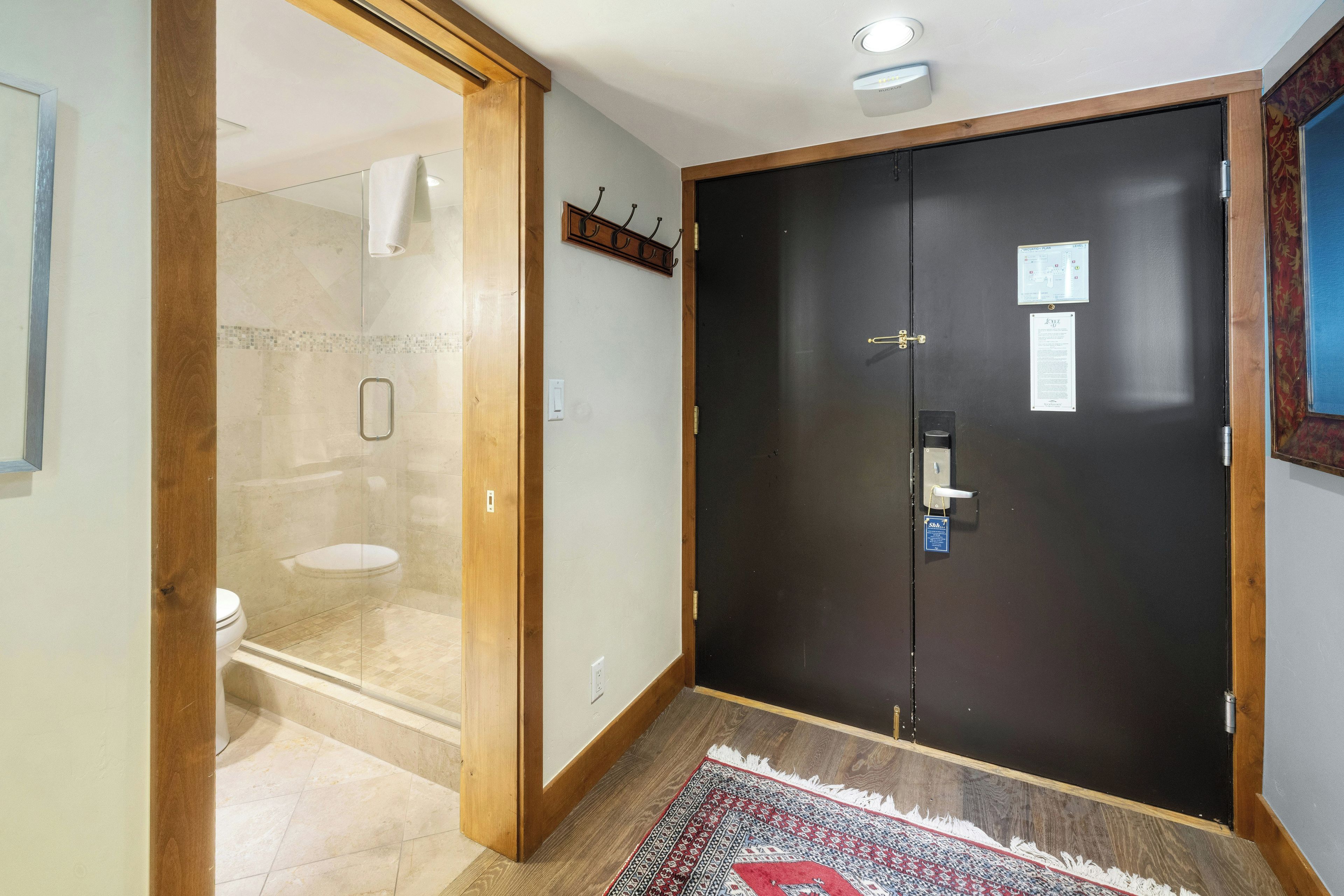 Une chambre d’hôtel dotée d’une douche en verre, d’une porte en bois foncé et d’un tapis à motifs sur le sol.