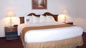 Standard Room, 1 King Bed | Desk, iron/ironing board, cots/infant beds, free WiFi - Margaritaville Resort Gatlinburg (Gatlinburg)