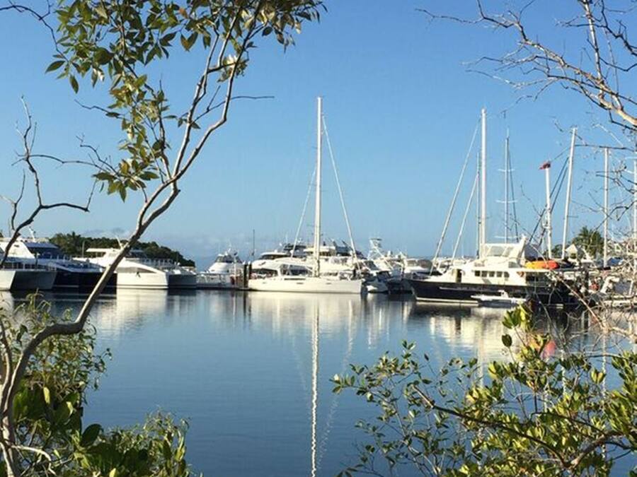 Un puerto deportivo con varios veleros amarrados, rodeado de vegetación.