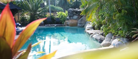 Outdoor pool, pool umbrellas, pool loungers