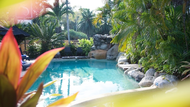 A pool surrounded by rocks and palm trees.