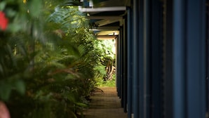 A pathway lined with lush green foliage and a series of blue-framed windows.