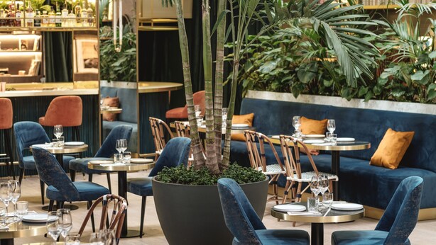 Un ristorante con tavoli rotondi, sedie imbottite blu e un'ampia fioriera con alberi.