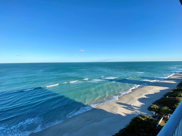 Vue sur la plage ou l’océan