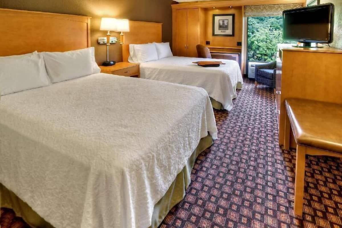 Een hotelkamer met twee bedden, een televisie, een bureau en uitzicht op groen.