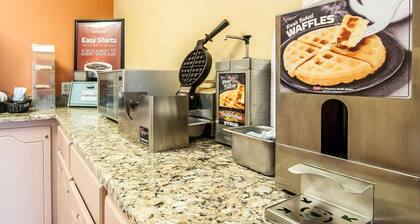 Econo Lodge Inn & Suites I-20, exit 73