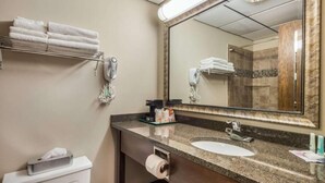 Ein Badezimmer mit Waschbecken, Spiegel, Handtuchhalter und Toilette.