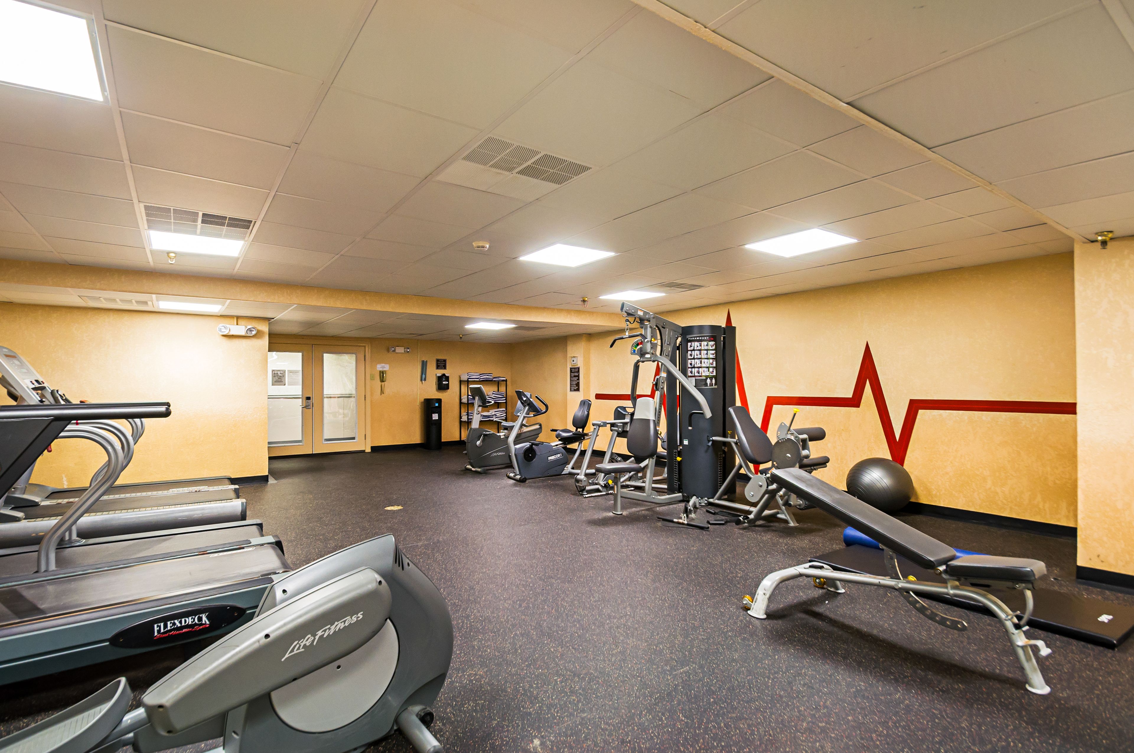 A gym with treadmills, elliptical machines, and weight equipment.