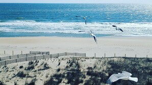 A beach with a wooden fence and dunes. - Quality Inn Oceanfront (Ocean City)