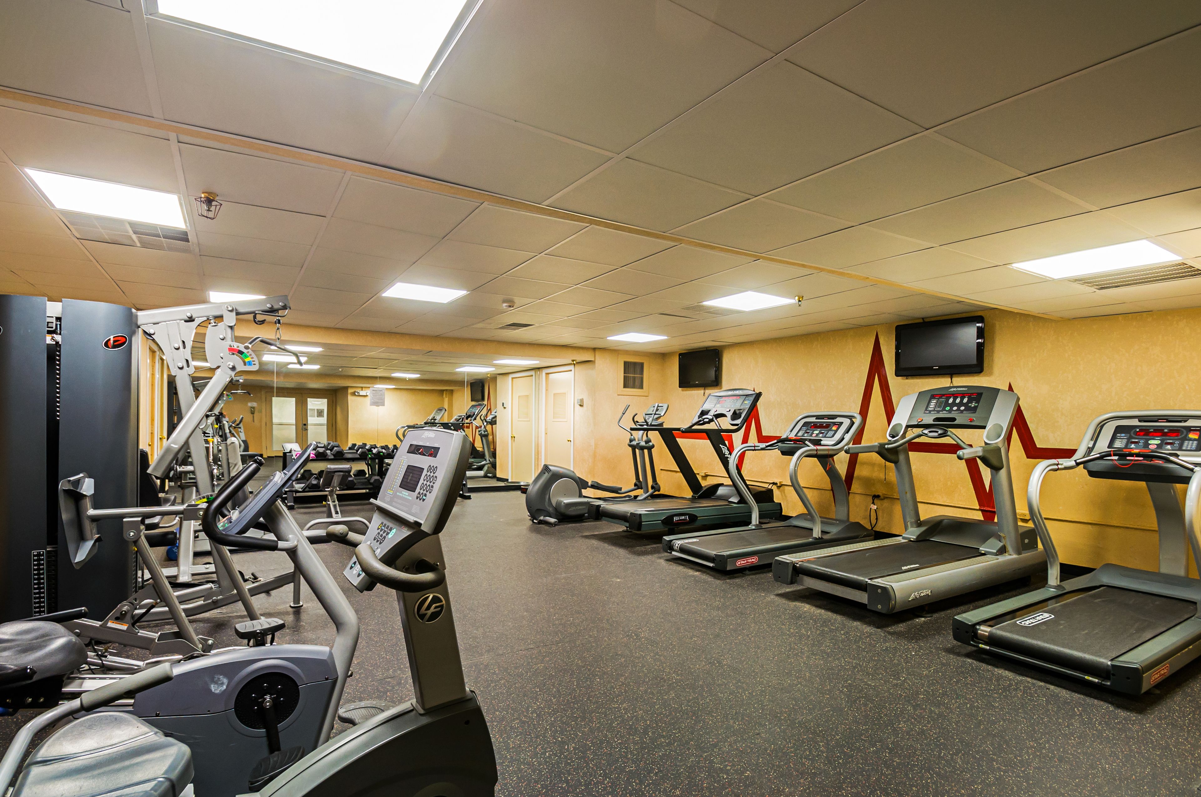 Et fitnesscenter med forskellige træningsmaskiner, herunder løbebånd og crosstrainere, anbragt i rækker.