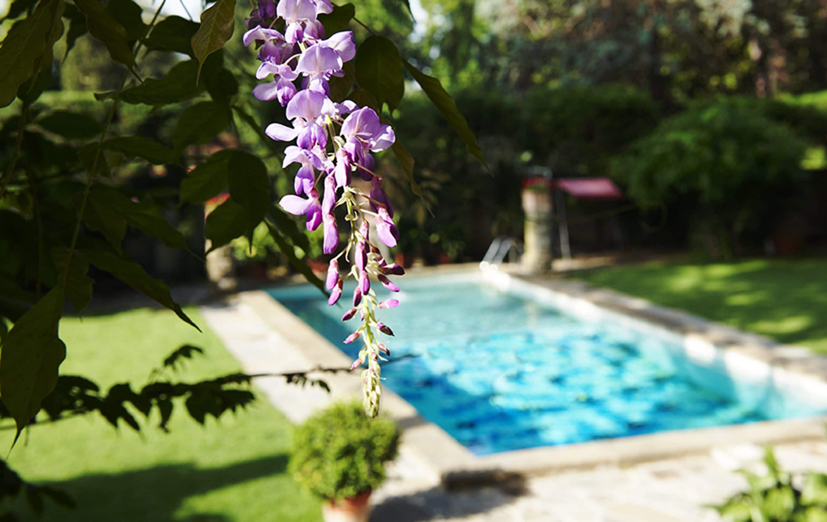 Foto - Park Palace Hotel