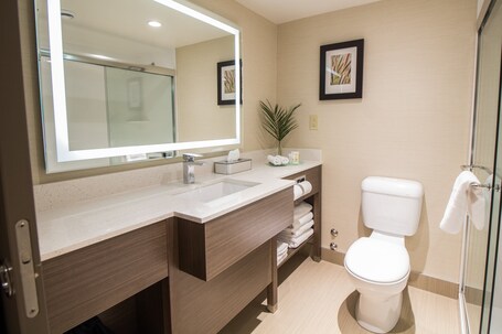 Victoria Inn Hotel and Convention Centre Winnipeg - Image 21