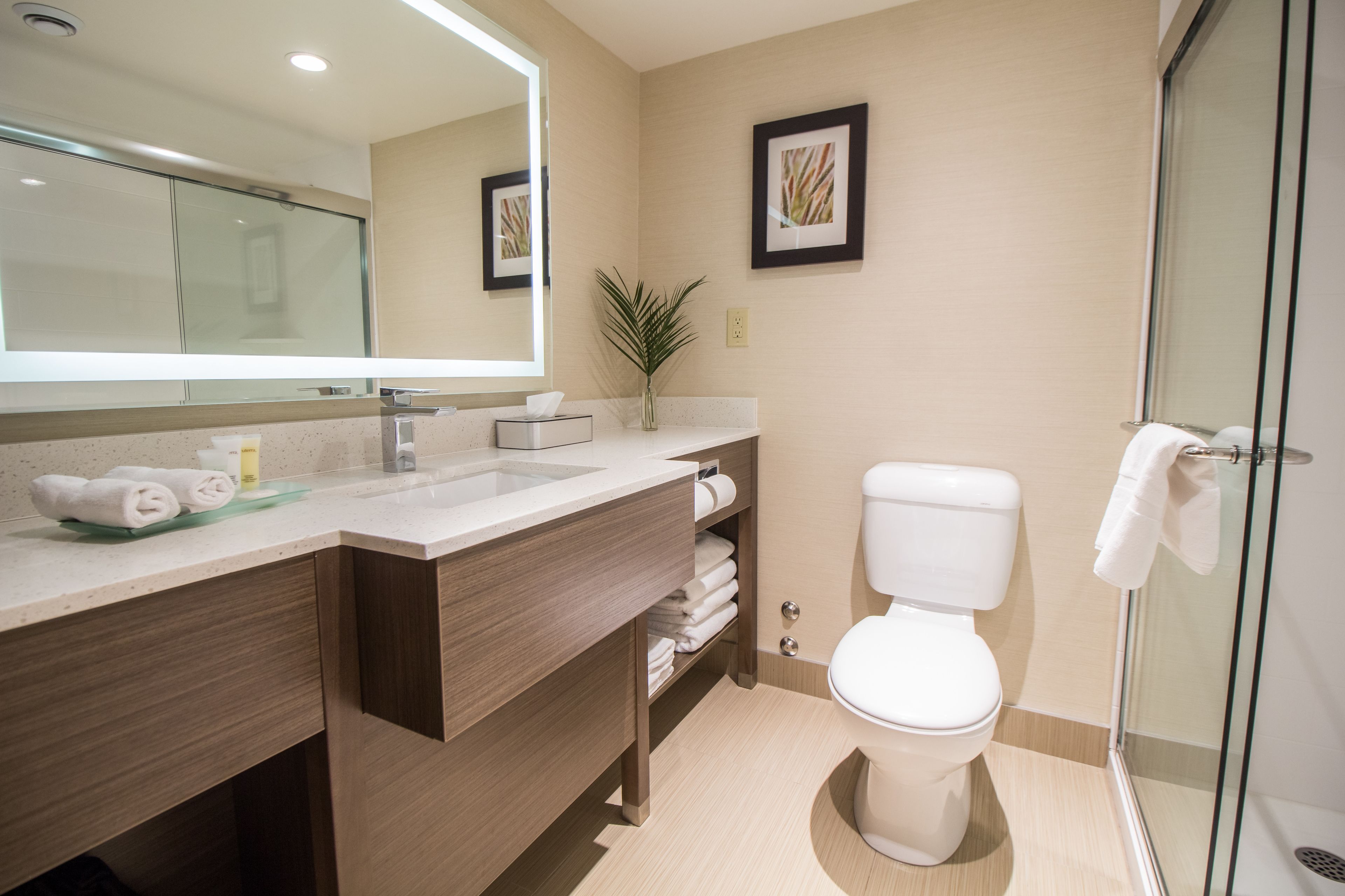 shower, eco-friendly toiletries, hair dryer, towels