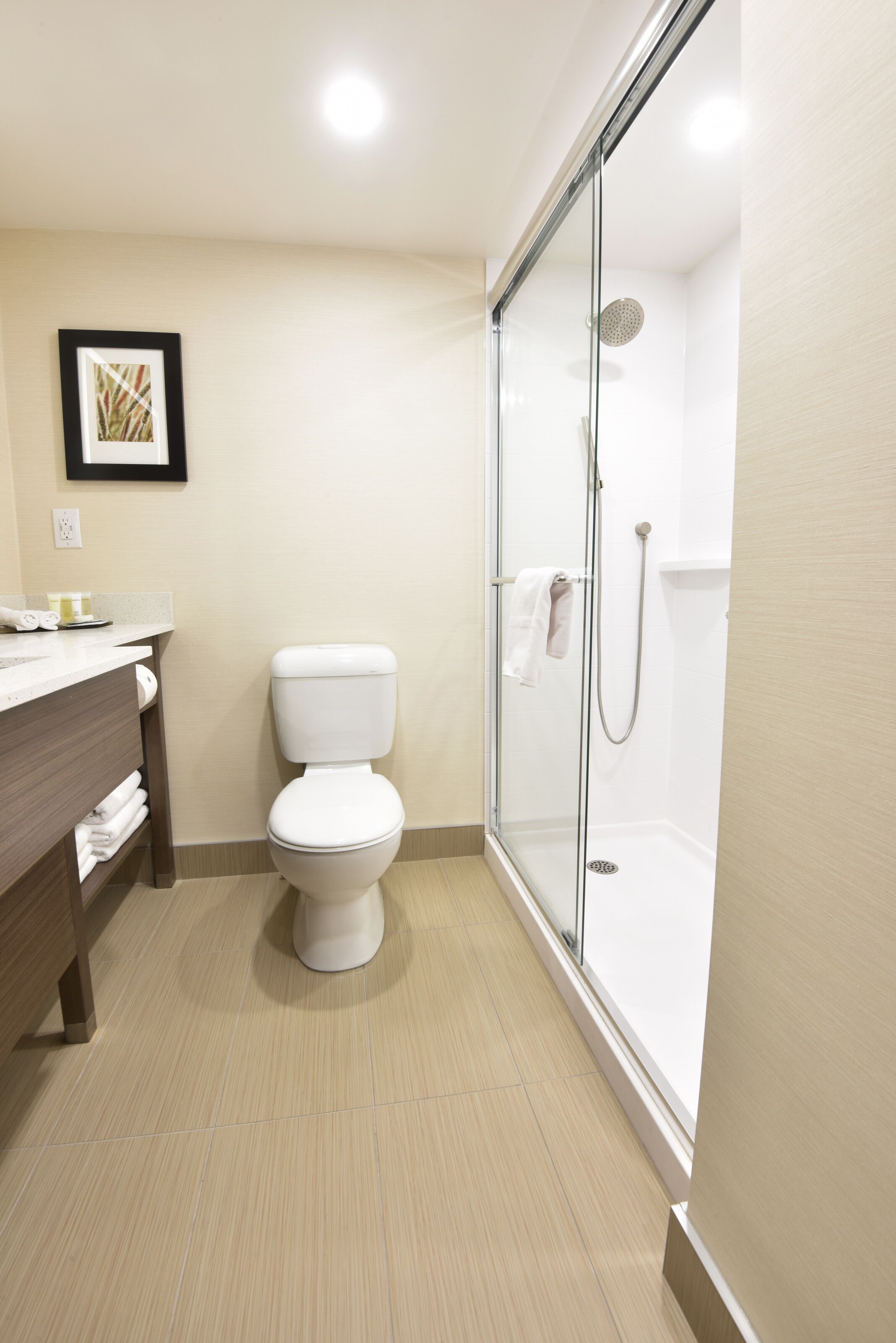 shower, eco-friendly toiletries, hair dryer, towels