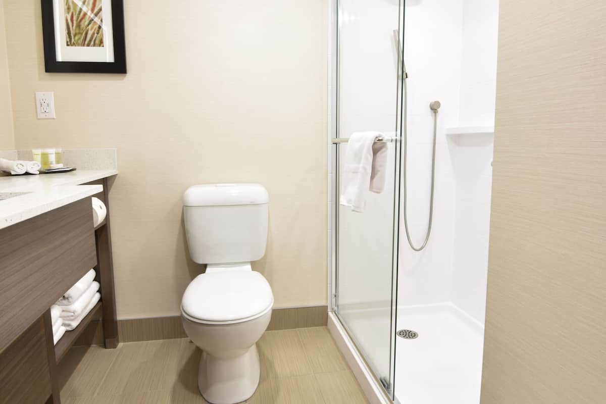 shower, eco-friendly toiletries, hair dryer, towels