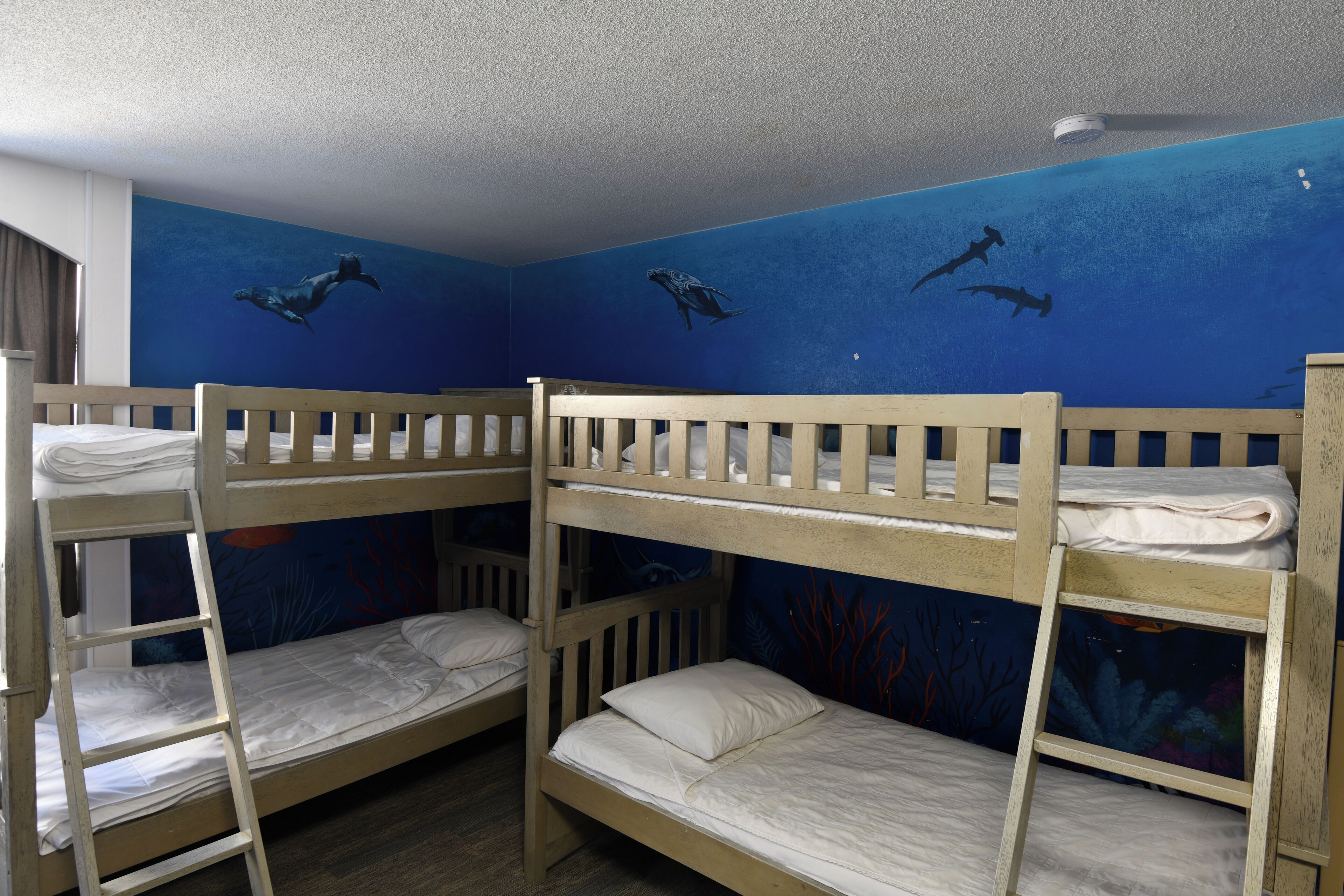 A room with bunk beds, a blue wall mural with sharks, and a ceiling light.