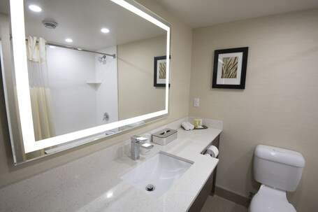 Victoria Inn Hotel and Convention Centre Winnipeg - Image 23