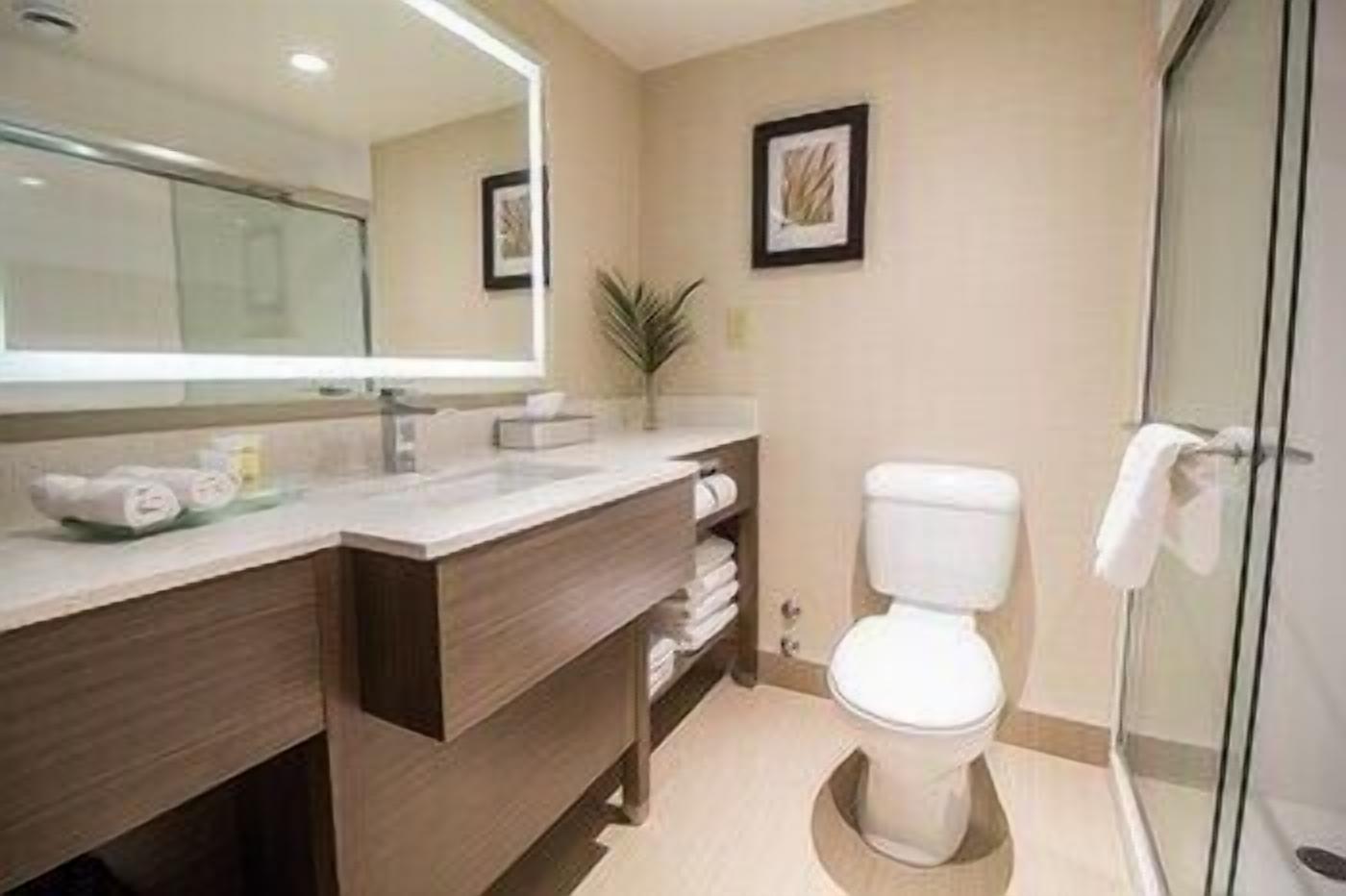 Baño | Regadera, amenidades de baño ecológicas, secadora de cabello, toallas 