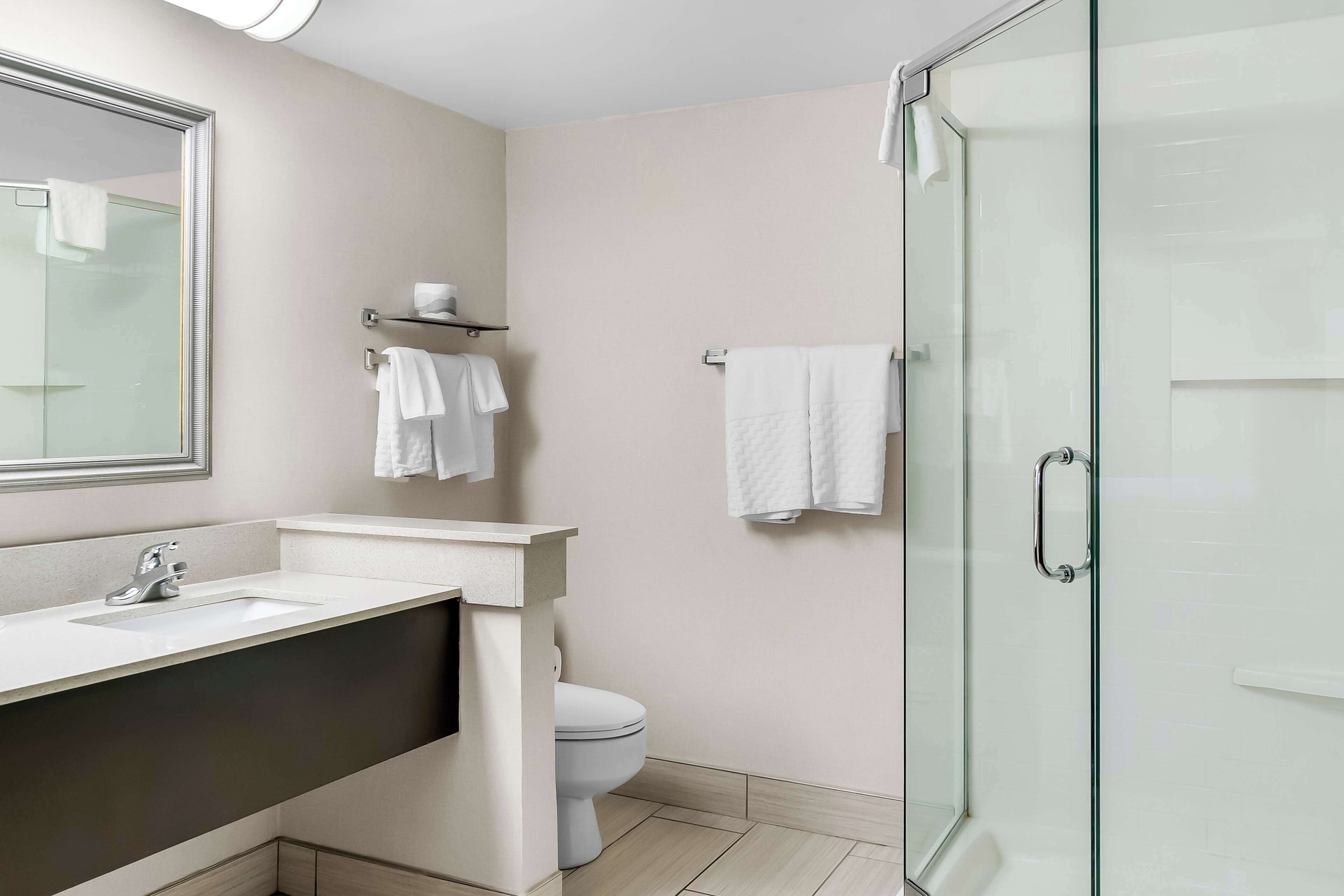 A modern bathroom with a glass shower enclosure, a white sink, and a toilet.