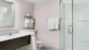 A modern bathroom with a glass shower enclosure, a white sink, and a toilet.
