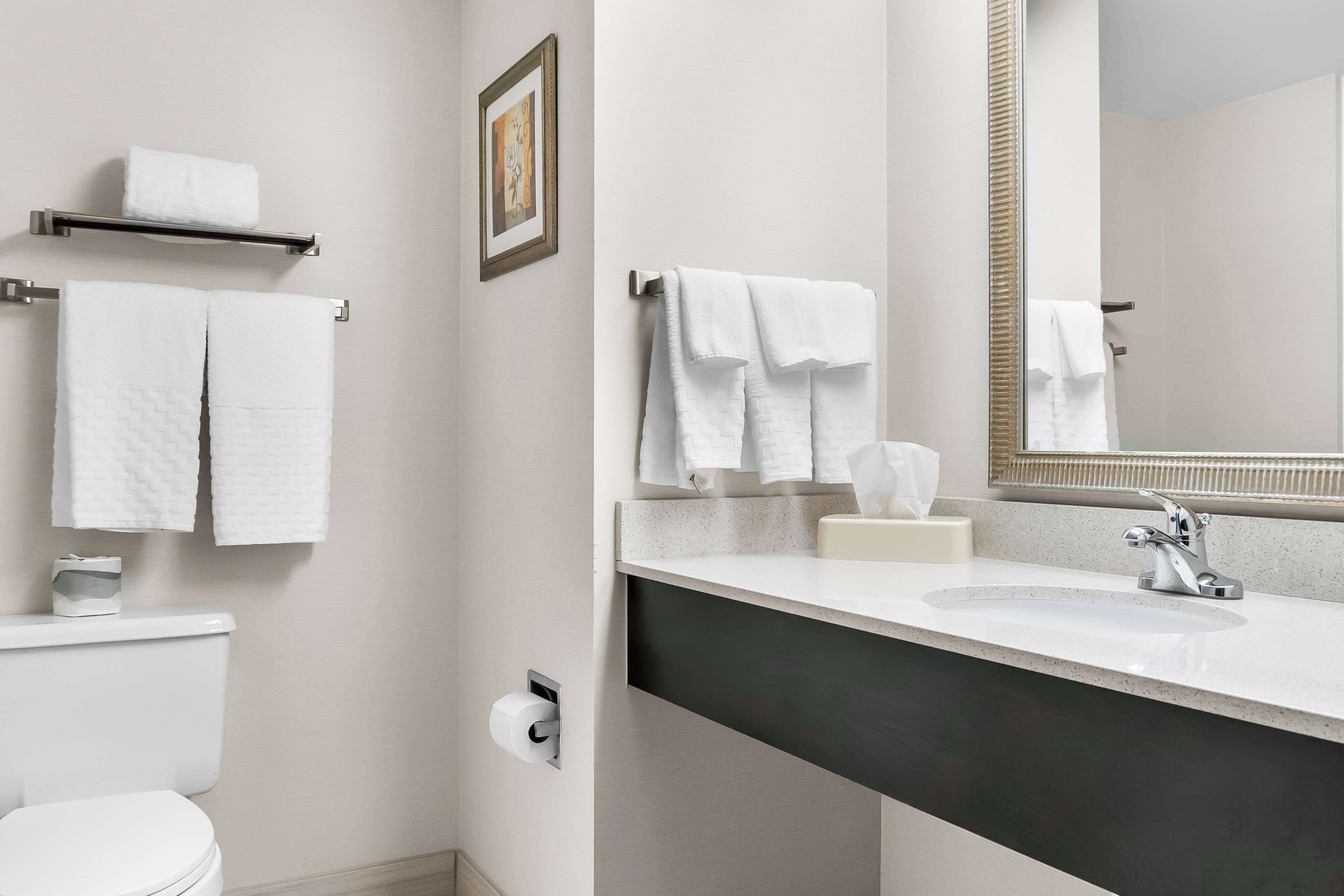 combined shower/bathtub, hair dryer, towels