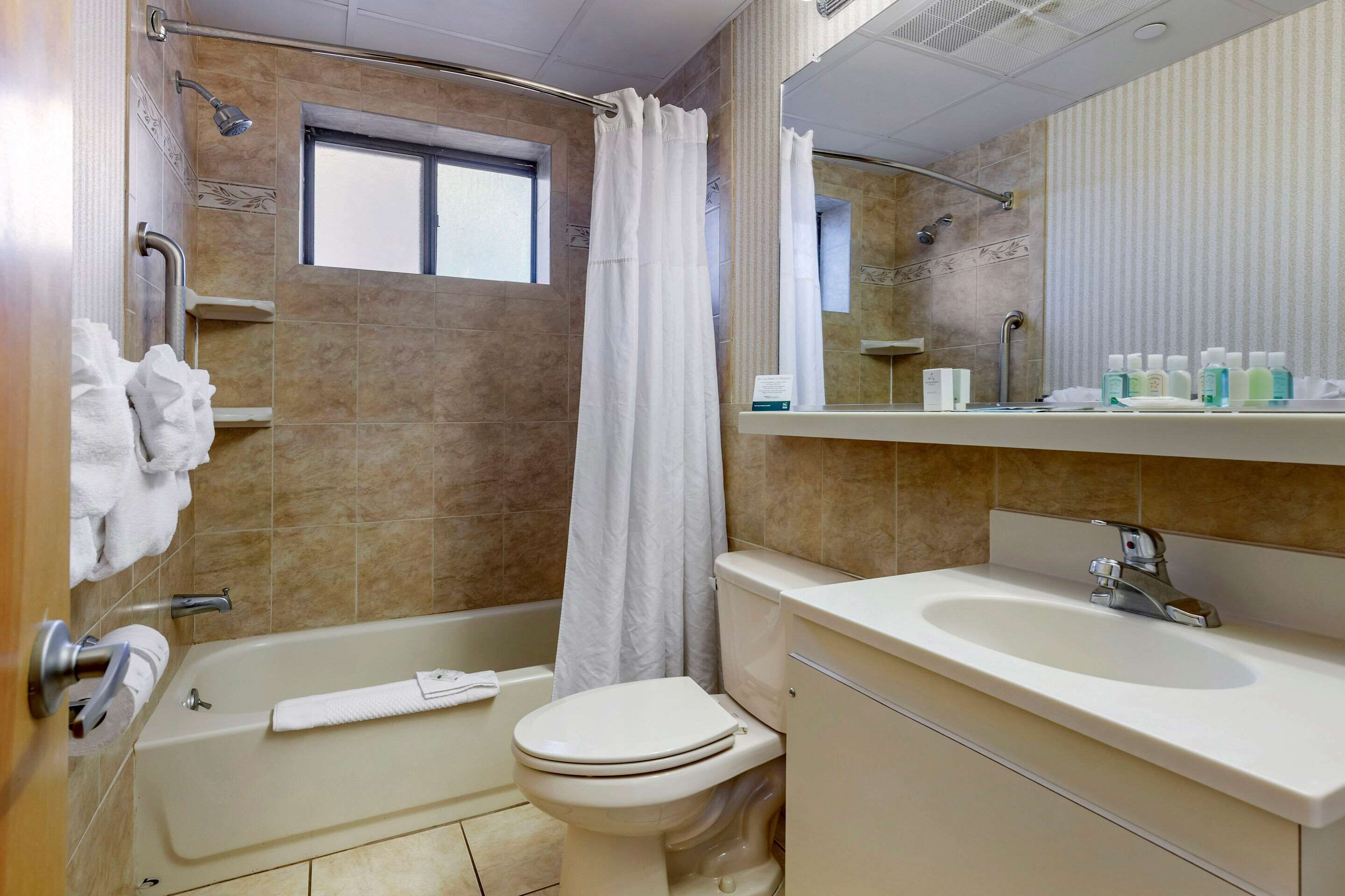 Combined shower/tub, free toiletries, hair dryer, towels