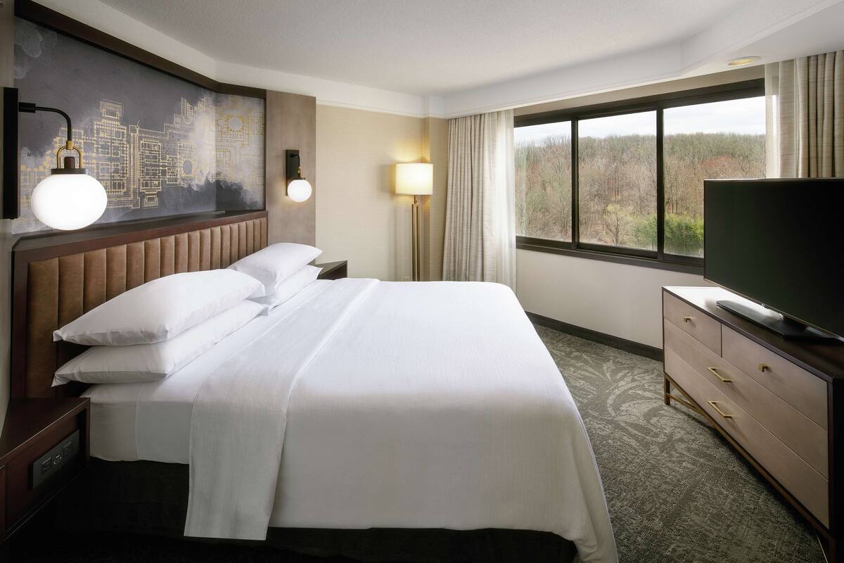 Habitación de hotel con una cama grande, un televisor de pantalla plana, un cuadro de un paisaje urbano en la pared y una ventana con vistas a un bosque.