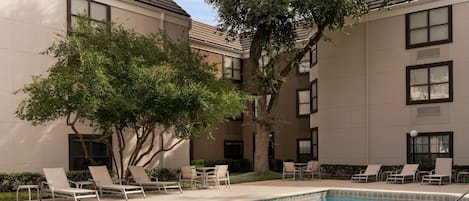 A swimming pool with lounge chairs and a tree, surrounded by a building with multiple windows and a tiled border.