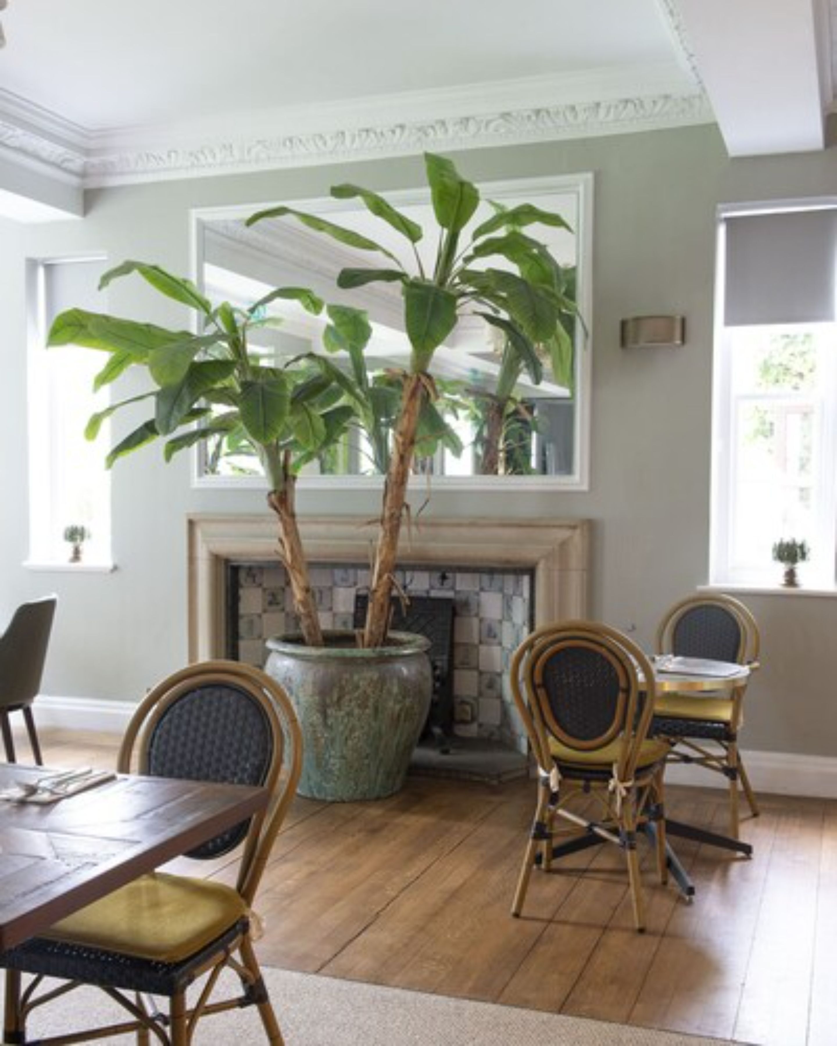 Photo - Bush Hotel Farnham