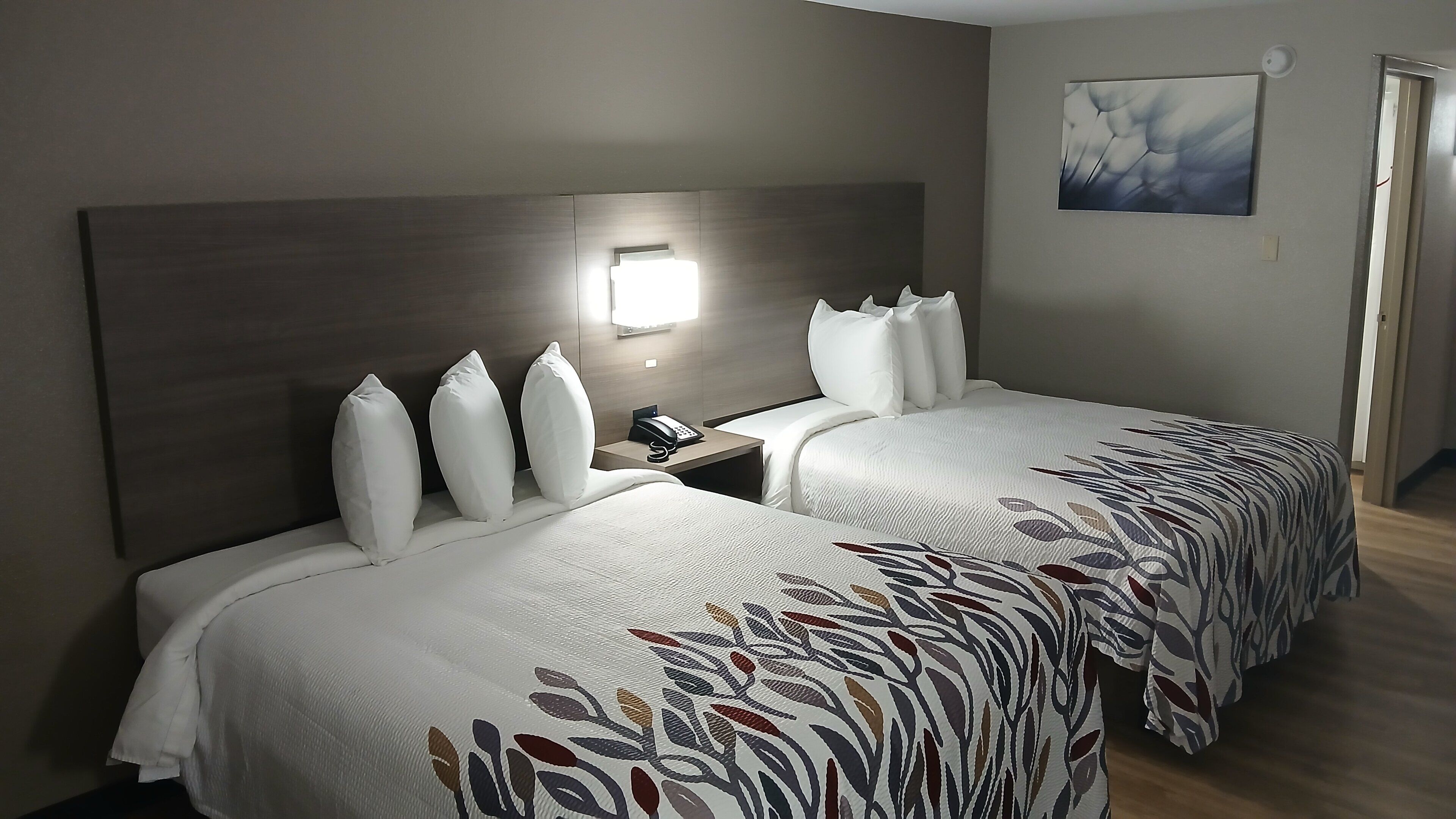 Premium bedding, down comforters, desk, laptop workspace