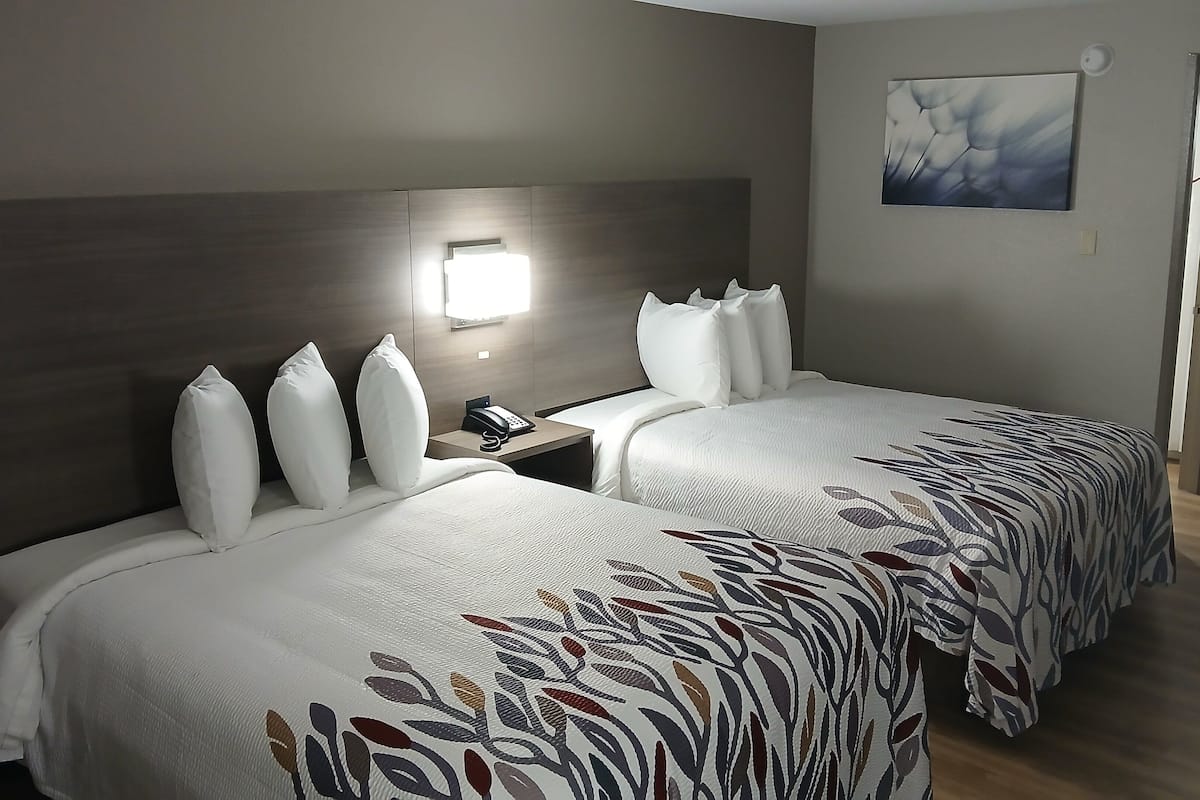 Premium bedding, down comforters, desk, laptop workspace